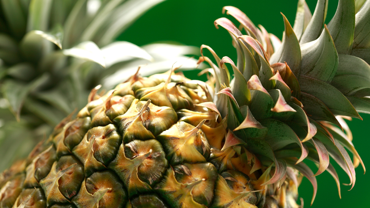 All product in Enzymes category