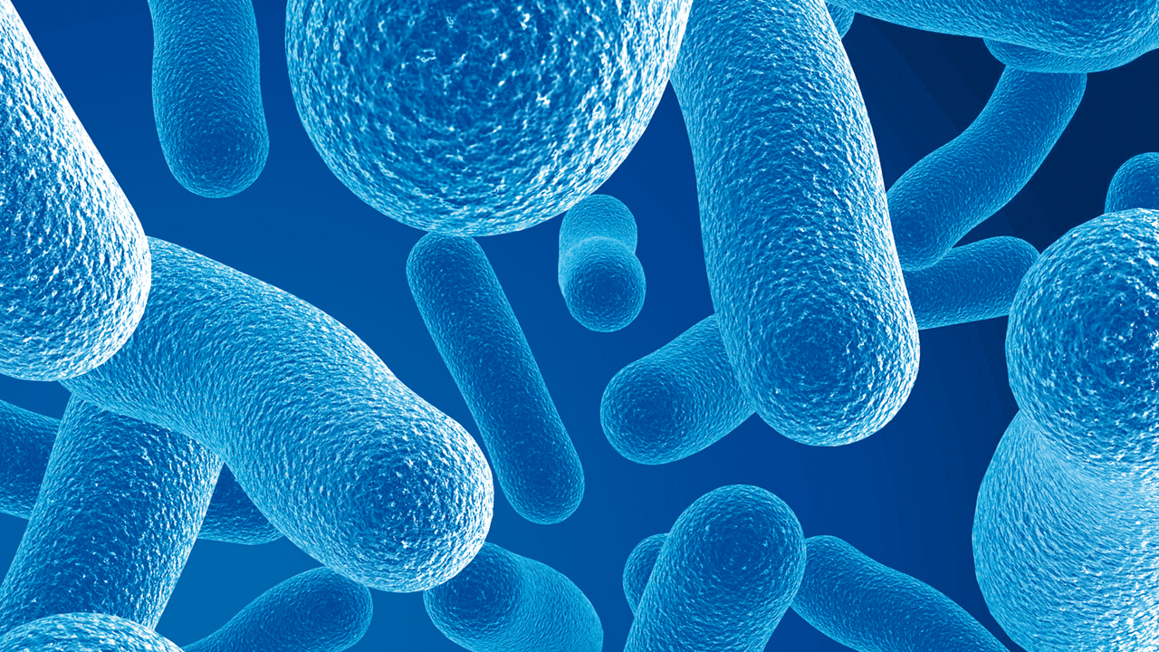 All product in Probiotics category